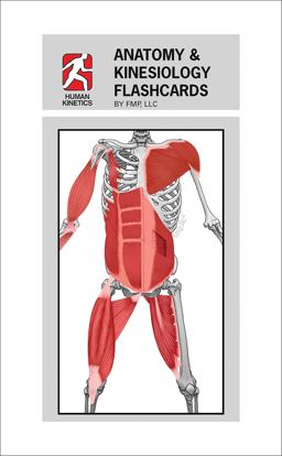 Anatomy and Kinesiology Flashcards  9781450428378 Front Cover