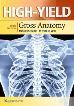 High-Yield(tm) Gross Anatomy 5th 9781451190236 Front Cover