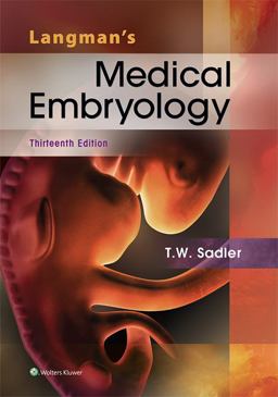 Langman's Medical Embryology 13th 9781451191646 Front Cover