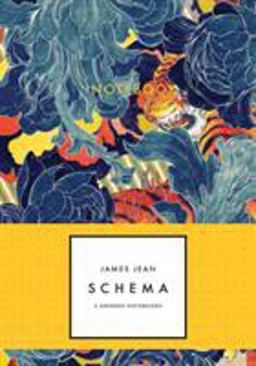 James Jean: Schema Notebook Collection (Notebooks for Designers, Gridded Notebook Sets, Artist Notebooks) 3 Gridded Notebooks  9781452114118 Front Cover