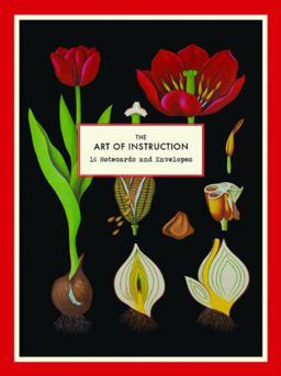 The Art of Instruction Notecard Set