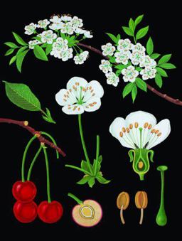 The Art of Instruction Journal