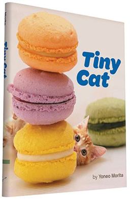 Tiny Cat  9781452149752 Front Cover