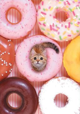 Tiny Cat Flexi Journal  9781452161044 Front Cover