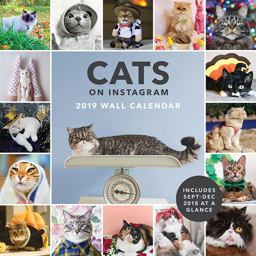 Cats on Instagram 2019 Wall Calendar