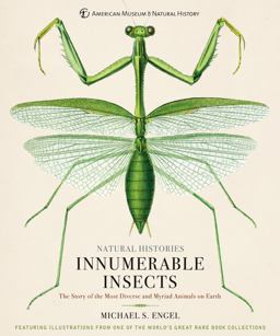 Innumerable Insects The Story of the Most Diverse and Myriad Animals on Earth  9781454923237 Front Cover