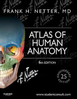 Atlas of Human Anatomy Including Student Consult Interactive Ancillaries and Guides 6th 9781455704187 Front Cover
