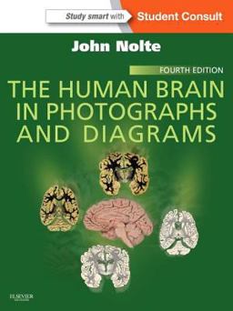 Human Brain in Photographs and Diagrams With STUDENT CONSULT Online Access 4th 9781455709618 Front Cover