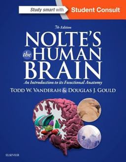 Nolte's the Human Brain An Introduction to Its Functional Anatomy 7th 9781455728596 Front Cover