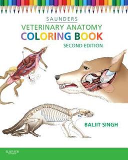 Veterinary Anatomy Flash Cards 2nd 9781455776832 Front Cover