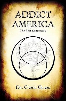 Addict America The Lost Connection  9781456505158 Front Cover