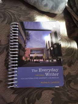 The Everyday Writer