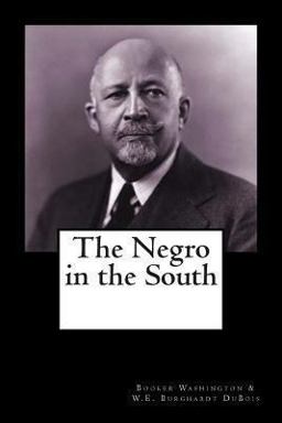 The Negro in the South