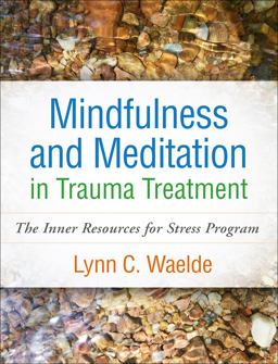 Mindfulness and Meditation in Trauma Treatment The Inner Resources for Stress Program  9781462548125 Front Cover