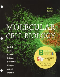 Loose-Leaf Version for Molecular Cell Biology 8th 9781464187438 Front Cover