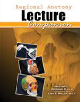 Regional Anatomy Lecture Companion