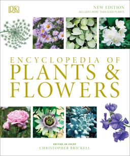 Encyclopedia of Plants and Flowers  9781465485038 Front Cover