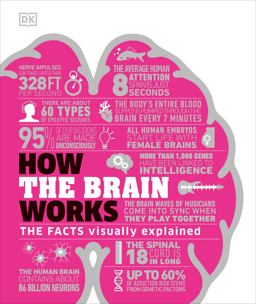 How the Brain Works