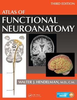 Atlas of Functional Neuroanatomy 3rd 9781466585348 Front Cover