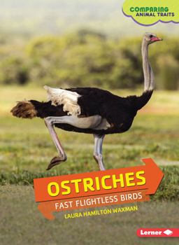 Ostriches