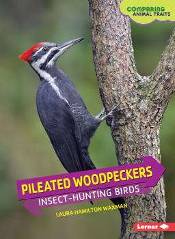 Pileated Woodpeckers