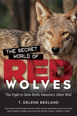 Secret World of Red Wolves The Fight to Save North America's Other Wolf  9781469626543 Front Cover