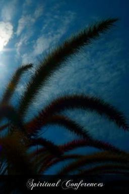 Spiritual Conferences Spiritual Conferences