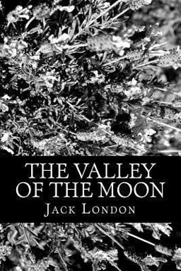 The Valley of the Moon
