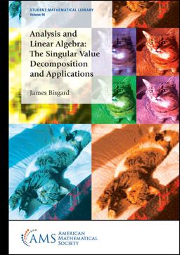 Analysis and Linear Algebra The Singular Value Decomposition and Applications  9781470463328 Front Cover