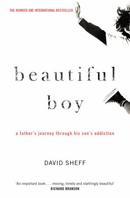 Beautiful Boy A Father's Journey Through His Son's Addiction  9781471182204 Front Cover