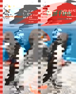 Reading Planet - Puffins - Red a: Rocket Phonics