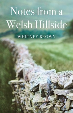 Between Stone and Sky Memoirs of a Waller  9781472127334 Front Cover