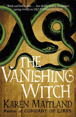 Vanishing Witch A Dark Historical Tale of Witchcraft and Rebellion  9781472215031 Front Cover