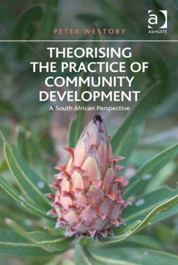 Theorising the Practice of Community Development
