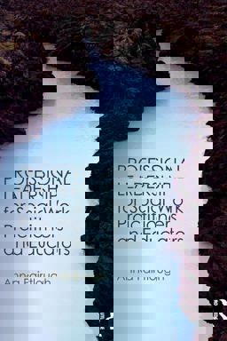 Professional Leadership for Social Work Practitioners and Educators  9781472467539 Front Cover