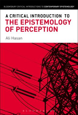 Critical Introduction to the Epistemology of Perception  9781472526595 Front Cover