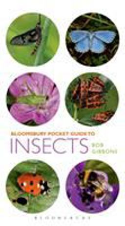 Pocket Guide to Insects  9781472909152 Front Cover