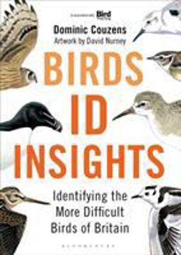 Birds: ID Insights
