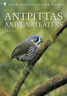 Antpittas and Gnateaters  9781472919649 Front Cover