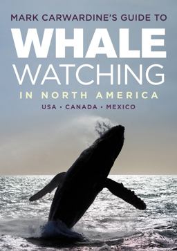Mark Carwardine's Guide to Whale Watching in North America