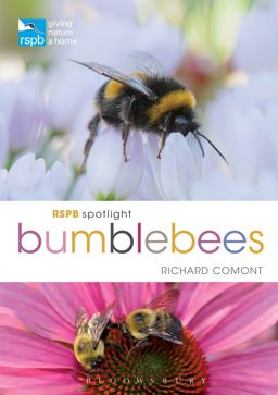 RSPB Spotlight Bumblebees  9781472933614 Front Cover