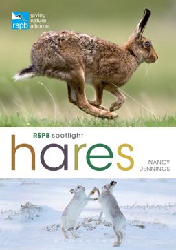 RSPB Spotlight Hares  9781472933645 Front Cover