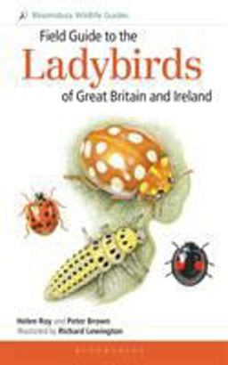 Field Guide to the Ladybirds of Great Britain and Ireland  9781472935687 Front Cover