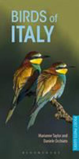 Birds of Italy  9781472949820 Front Cover