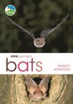RSPB Spotlight Bats  9781472950055 Front Cover