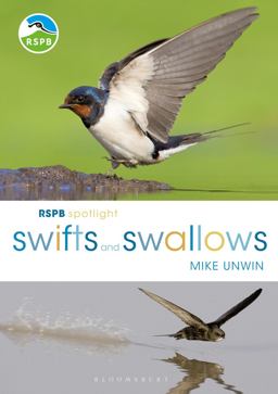 RSPB Spotlight Swifts and Swallows  9781472950116 Front Cover
