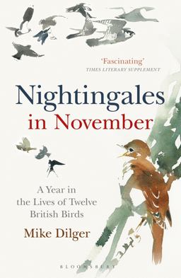 Nightingales in November: A Year in the Lives of Twelve British Birds  9781472962423 Front Cover