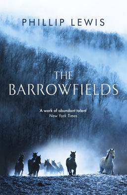 Barrowfields  9781473636842 Front Cover