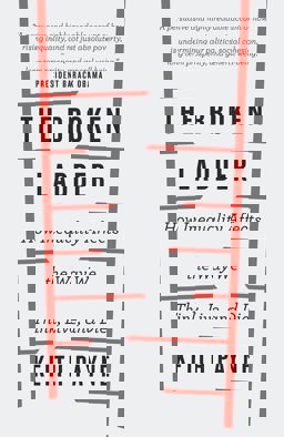 Broken Ladder How Inequality Changes the Way We Think, Live and Die  9781474601122 Front Cover