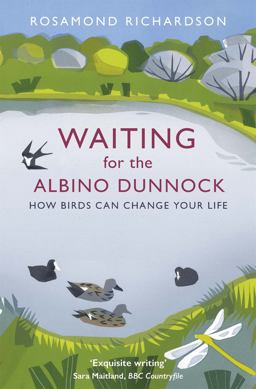 Waiting for the Albino Dunnock How Birds Can Change Your Life  9781474603010 Front Cover
